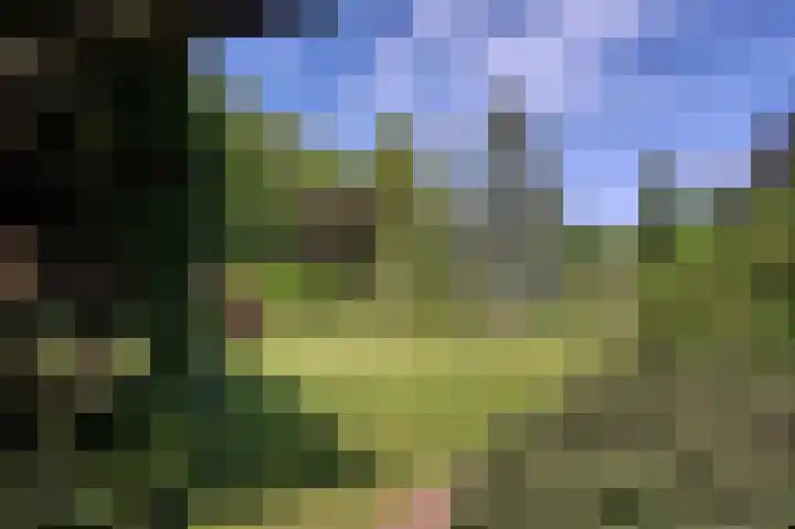 Molenweg 25 Heelweg thumbnail 51