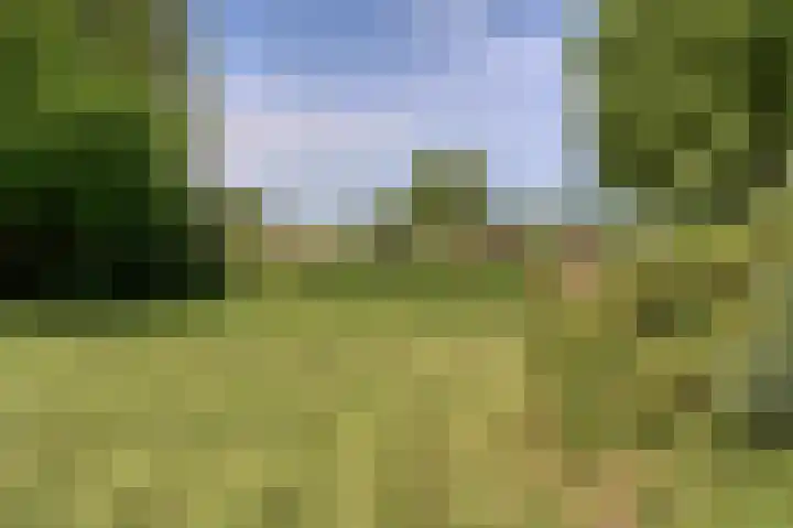 Molenweg 25 Heelweg thumbnail 52