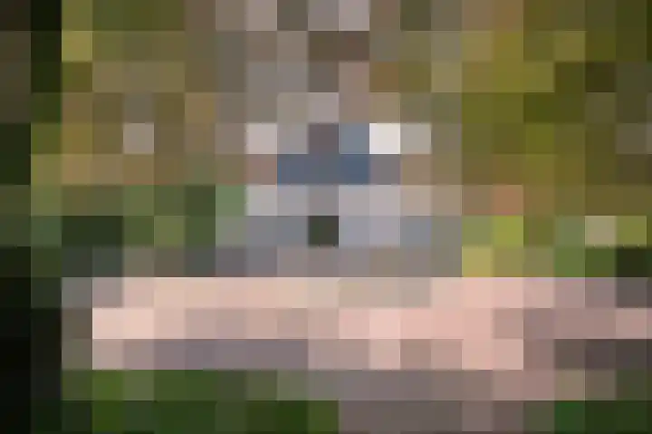 Molenweg 25 Heelweg thumbnail 53