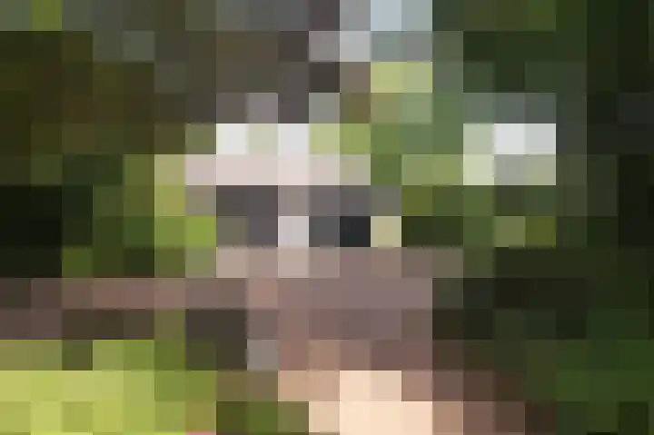 Molenweg 25 Heelweg thumbnail 56