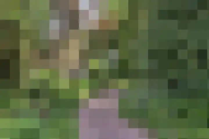 Molenweg 25 Heelweg thumbnail 59