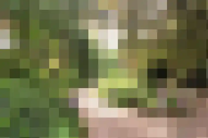 Molenweg 25 Heelweg thumbnail 60