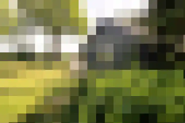 Molenweg 25 Heelweg thumbnail 61