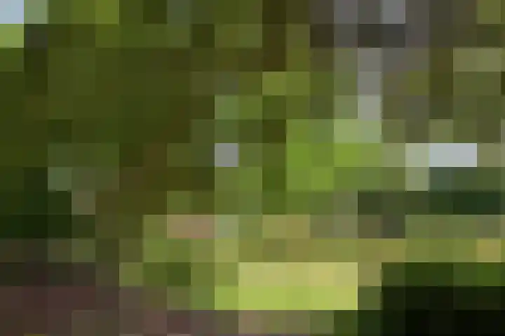 Molenweg 25 Heelweg thumbnail 62