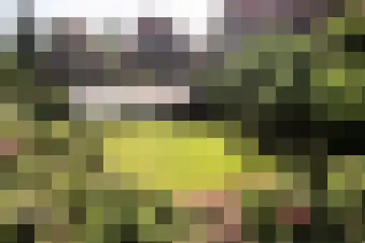Molenweg 25 Heelweg thumbnail 63