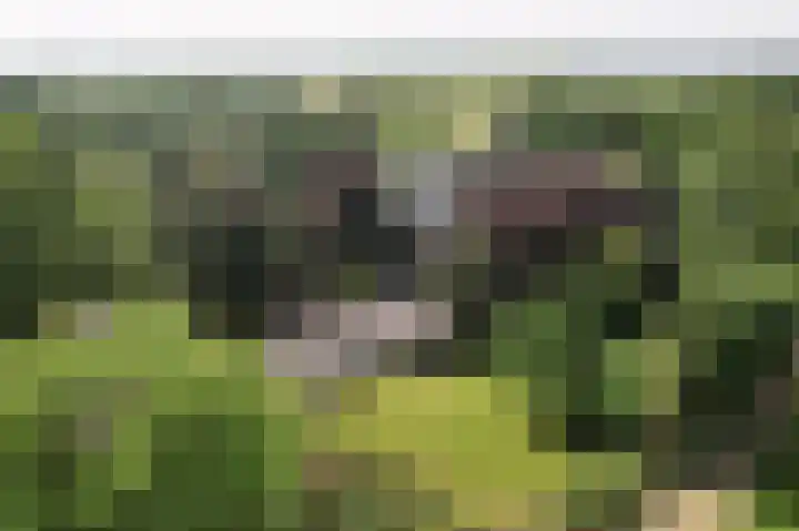 Molenweg 25 Heelweg thumbnail 64