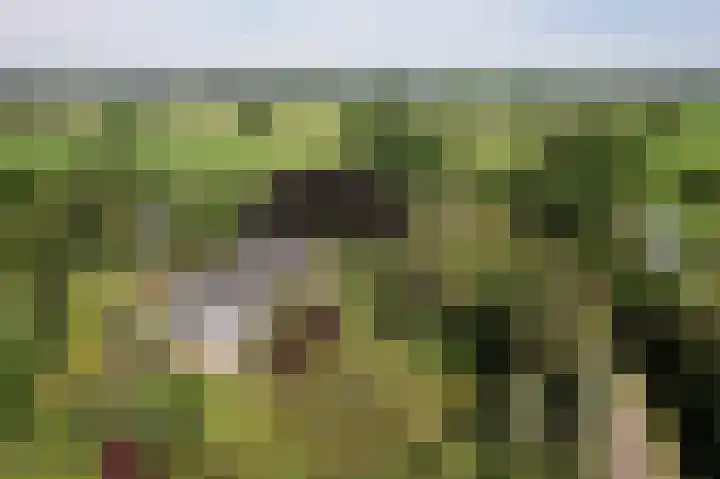 Molenweg 25 Heelweg thumbnail 65