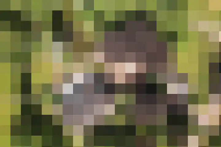 Molenweg 25 Heelweg thumbnail 66
