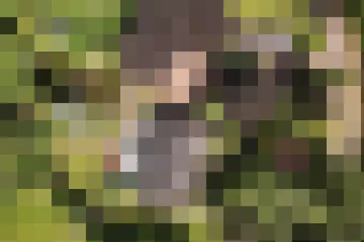 Molenweg 25 Heelweg thumbnail 67