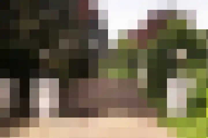 Molenweg 25 Heelweg thumbnail 68