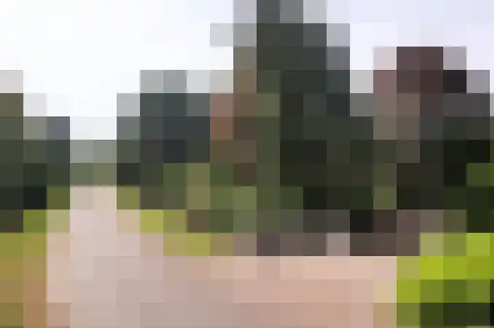 Molenweg 25 Heelweg thumbnail 69