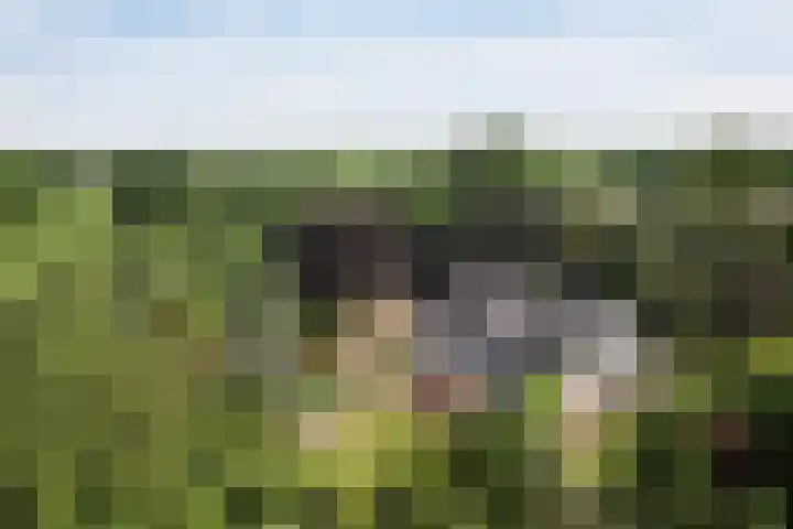 Molenweg 25 Heelweg thumbnail 73