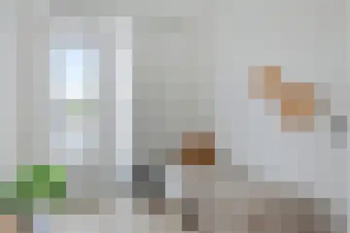 Molenweg 253 Nijmegen thumbnail 15