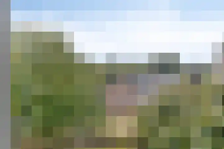 Molenweg 253 Nijmegen thumbnail 19