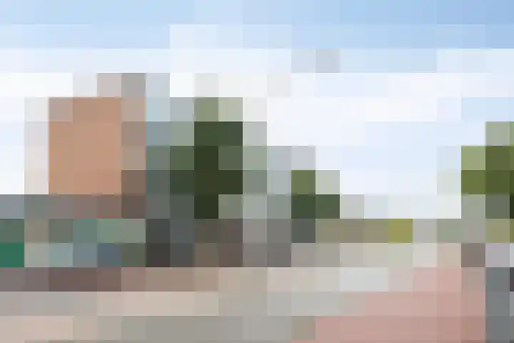Molenweg 253 Nijmegen thumbnail 26