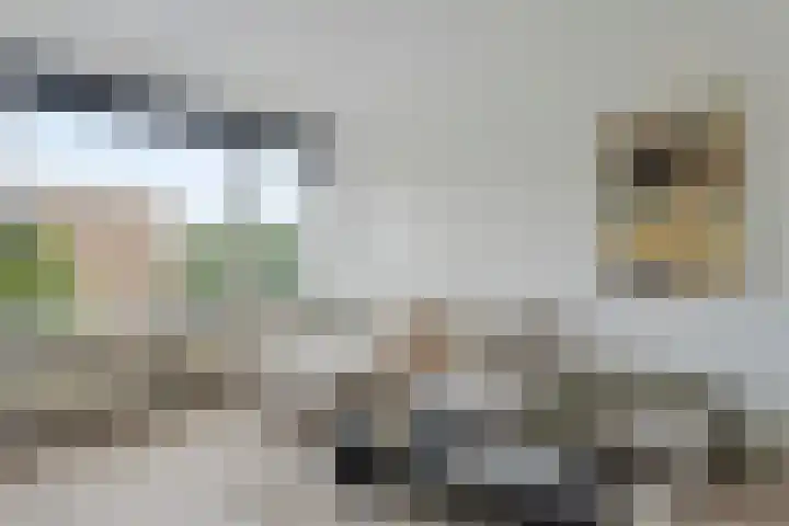 Molenweg 253 Nijmegen thumbnail 4