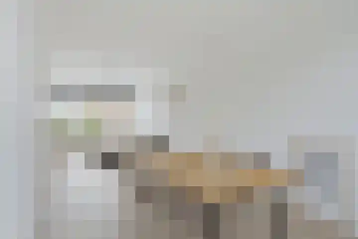 Molenweg 253 Nijmegen thumbnail 8