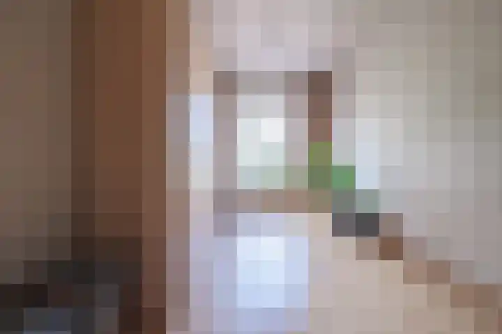 Molenweg 257 Nijmegen thumbnail 18