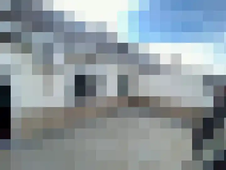 Molenweg 26 Maasbracht thumbnail 12