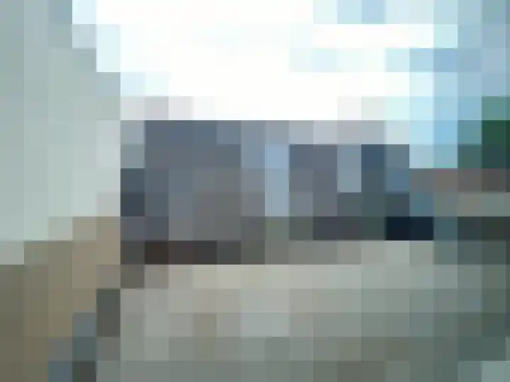Molenweg 26 Maasbracht thumbnail 14