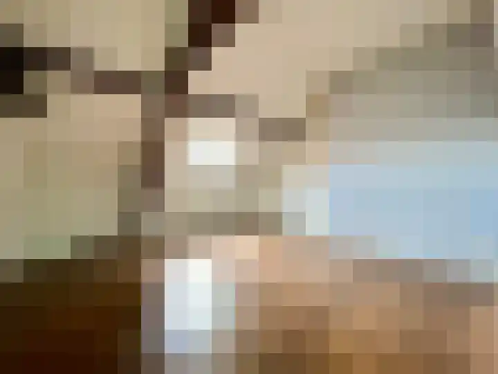 Molenweg 26 Maasbracht thumbnail 17