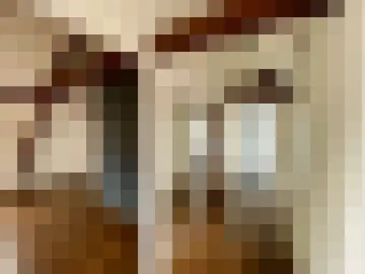 Molenweg 26 Maasbracht thumbnail 19