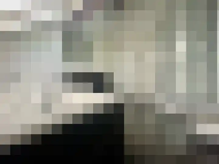 Molenweg 26 Maasbracht thumbnail 22