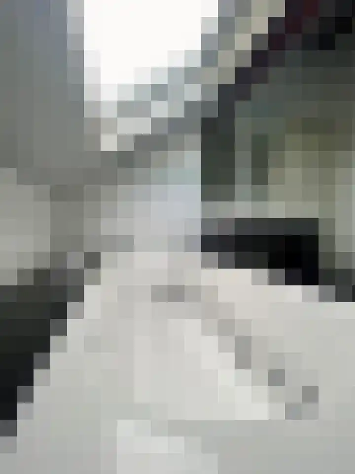 Molenweg 26 Maasbracht thumbnail 23
