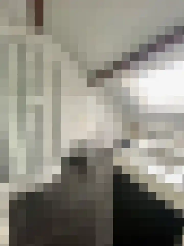 Molenweg 26 Maasbracht thumbnail 26