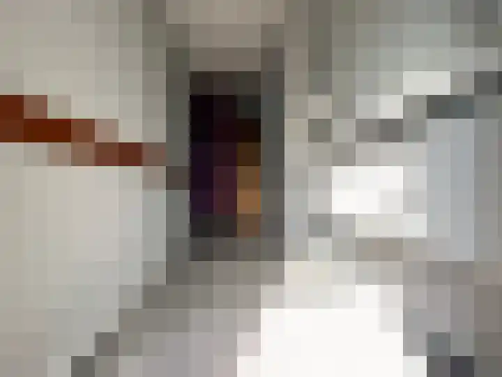 Molenweg 26 Maasbracht thumbnail 27