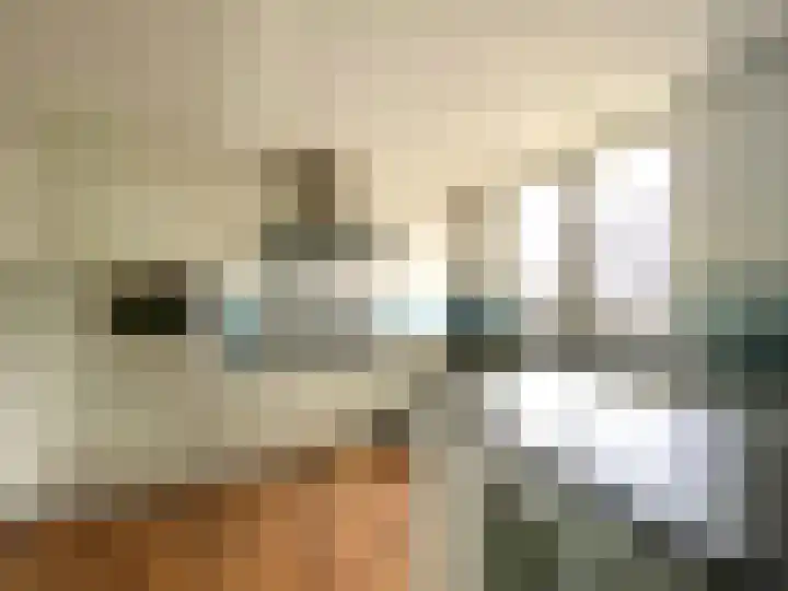 Molenweg 26 Maasbracht thumbnail 4