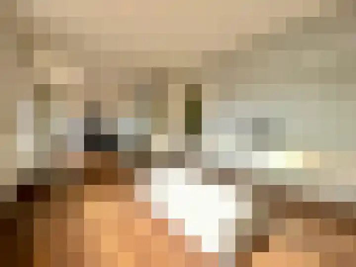 Molenweg 26 Maasbracht thumbnail 7
