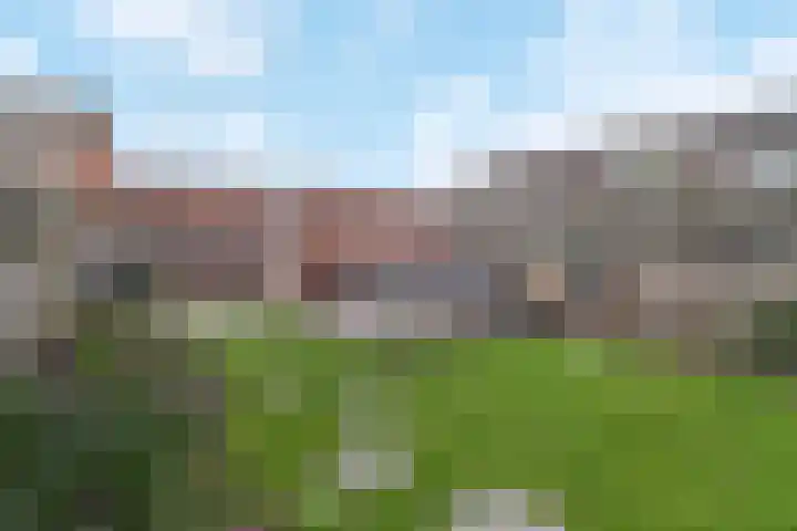 Molenweg 26 Oost-Souburg thumbnail 23