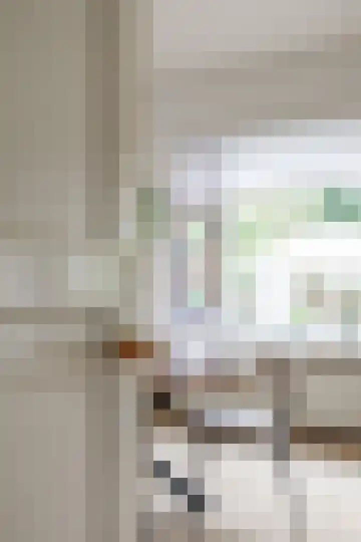 Molenweg 26 Thesinge thumbnail 13