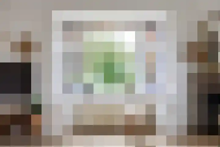 Molenweg 26 Thesinge thumbnail 18
