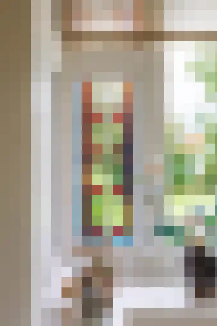 Molenweg 26 Thesinge thumbnail 20