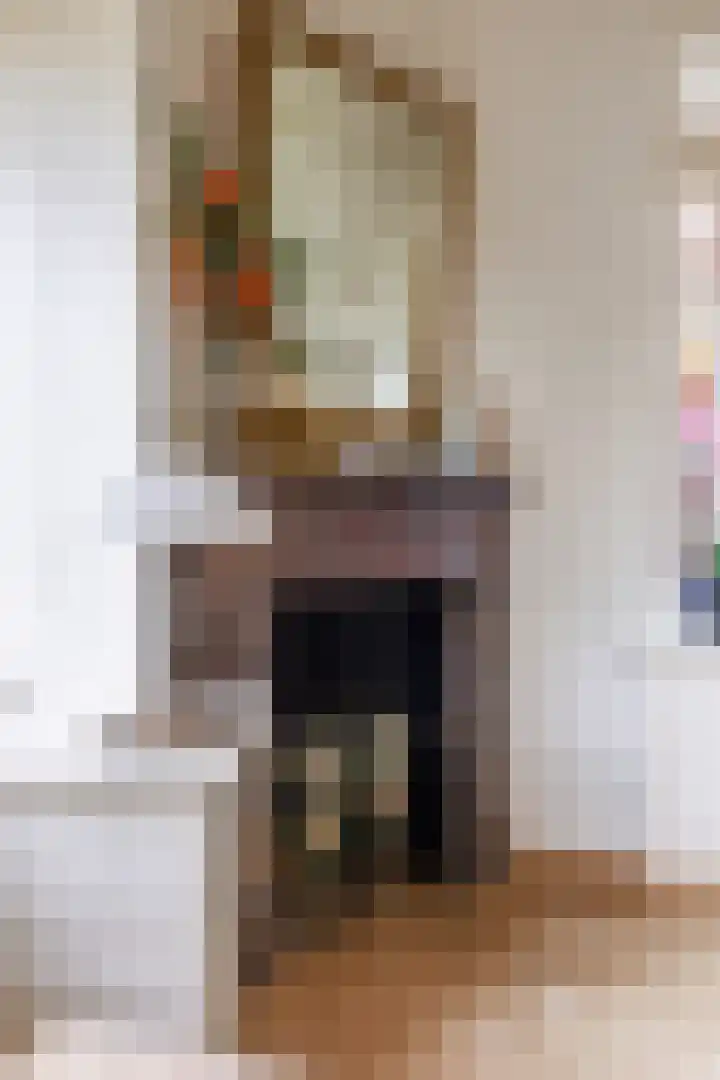 Molenweg 26 Thesinge thumbnail 21