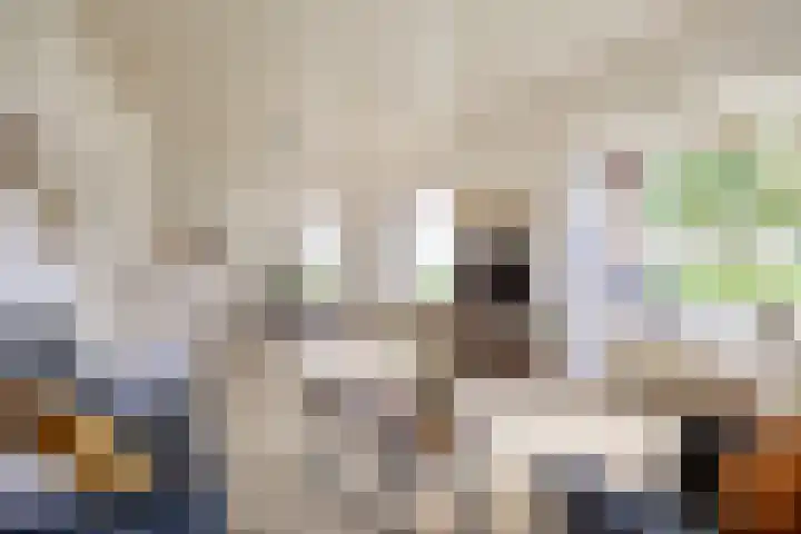 Molenweg 26 Thesinge thumbnail 23