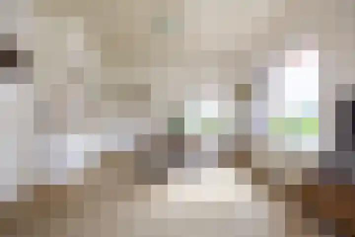 Molenweg 26 Thesinge thumbnail 24