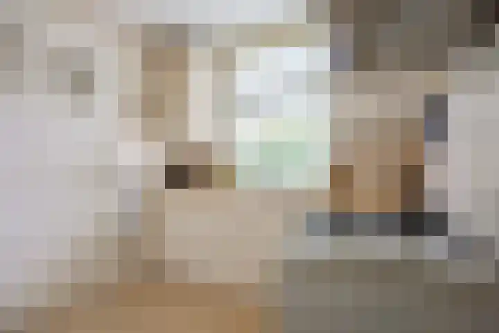 Molenweg 26 Thesinge thumbnail 25