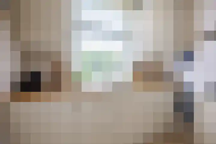 Molenweg 26 Thesinge thumbnail 26