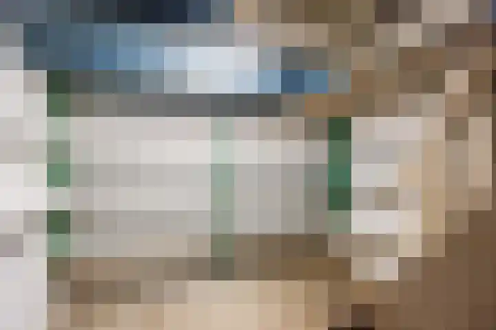 Molenweg 26 Thesinge thumbnail 29