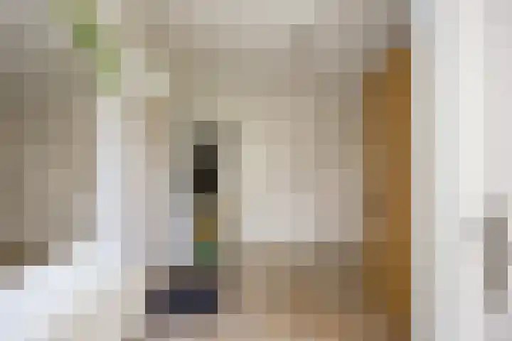 Molenweg 26 Thesinge thumbnail 30
