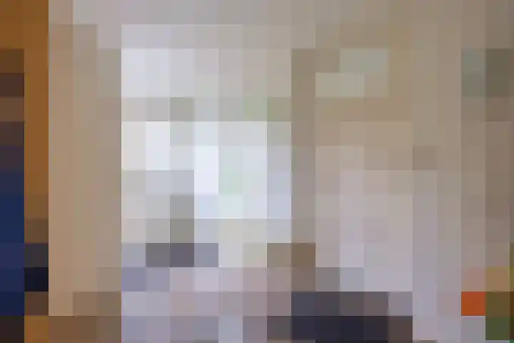 Molenweg 26 Thesinge thumbnail 31