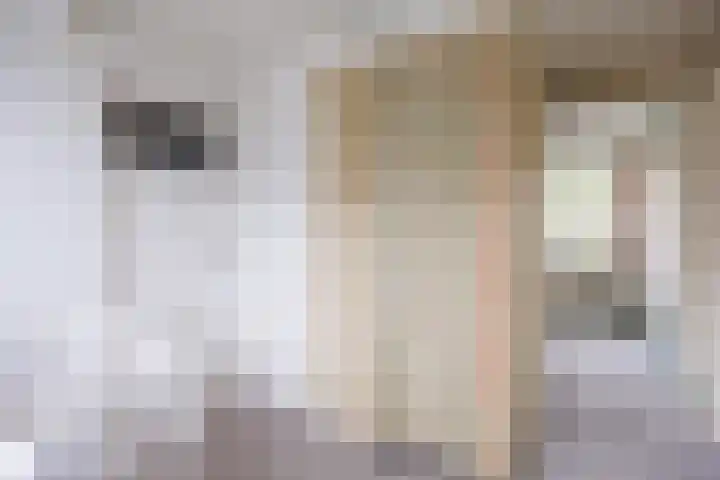 Molenweg 26 Thesinge thumbnail 39