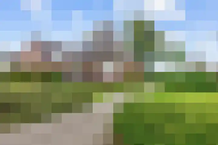 Molenweg 26 Thesinge thumbnail 4