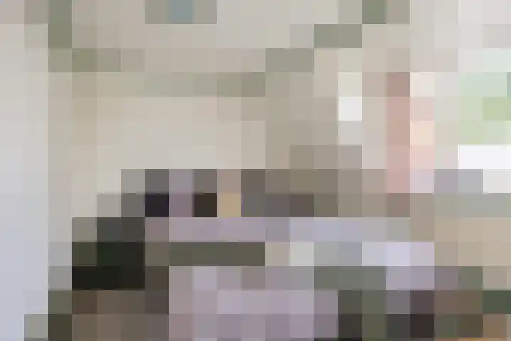 Molenweg 26 Thesinge thumbnail 40