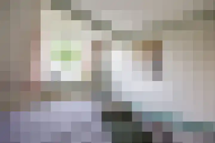 Molenweg 26 Thesinge thumbnail 41