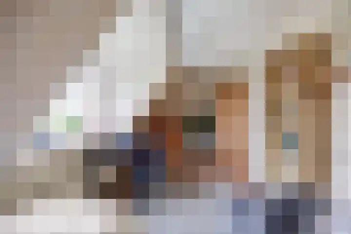 Molenweg 26 Thesinge thumbnail 44