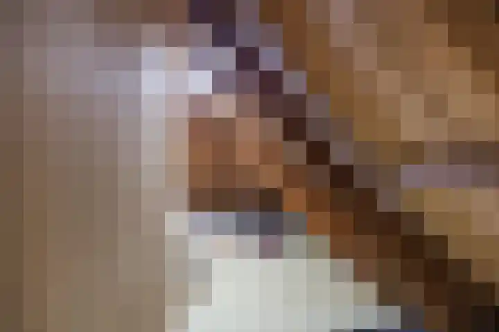 Molenweg 26 Thesinge thumbnail 47